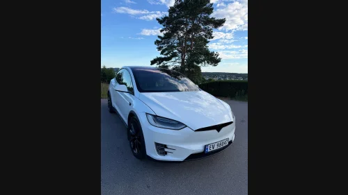 TESLA Model X Long Range Raven 5-s
