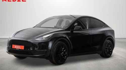 TESLA Model Y 533Km (75kWh) LR/AWD/Pano/Navi/Ryzen/Skinn/AP
