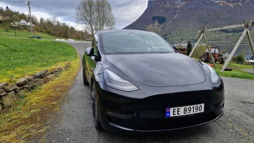 TESLA Model Y Meget pen Performance med PPF