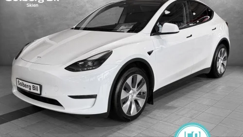 TESLA Model Y Long Range AWD PREMIUM/AUTOPILOT/SKINN/PANO