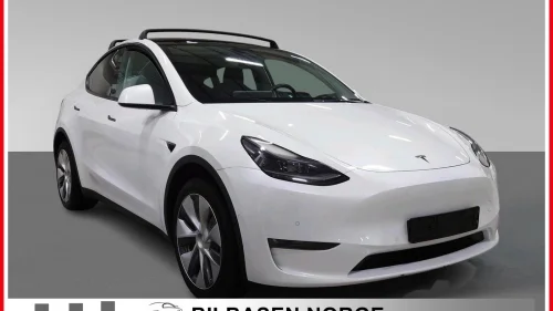 TESLA Model Y LONG RANGE DUAL MOTOR AWD/RATT-V./360°kam/EL-bakluke
