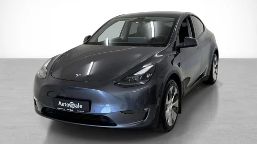 TESLA Model Y Long Range Autopilot/V-Pumpe/Krok/SE KM/S+V/EU-OK 2027