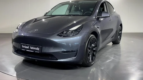 TESLA Model Y Long Range AWD /KROK/NY PKK/ACC/AWD/SKINN