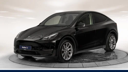 TESLA Model Y Long Range AWD - R.Kam, Skinn, Pano, Navi