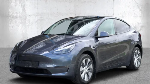 TESLA Model Y LongRange AWD AP FSD HW3 Premium Varmepumpe Krok
