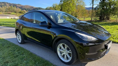 TESLA Model Y Long Range AWD AP Skinn Kamera Panorama