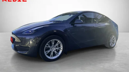 TESLA Model Y Long Range/AWD/Ryzen/AP/Pano/Matrix/V.pumpe/P.sensor
