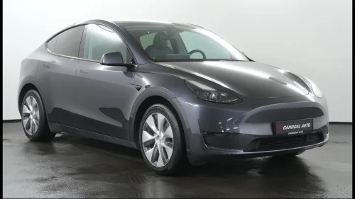 TESLA Model Y LONGE RANGE AWD / KAMERA / SKINN / ACC / PANO ++