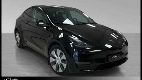 TESLA Model Y AWD LR /Skinn/Autopilot/ACC/Premium/Vinter/Krok/2x19"