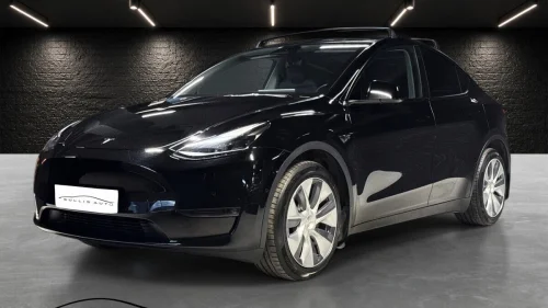 TESLA Model Y Model Y