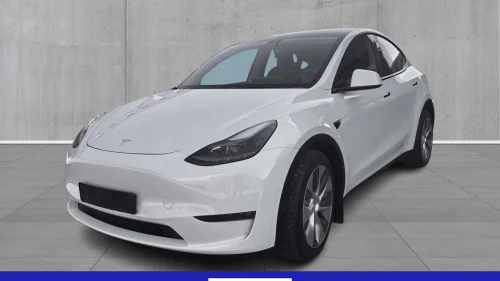 TESLA Model Y Long Range, Autopilot