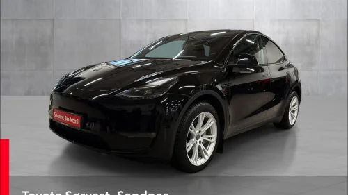 TESLA Model Y Model Y
