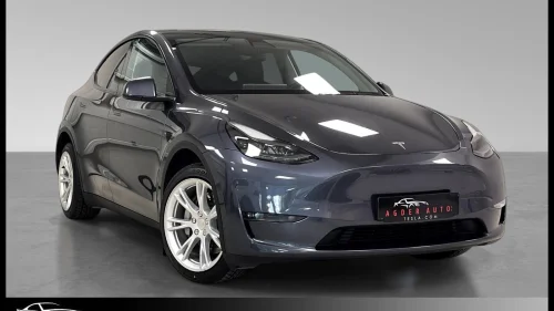 TESLA Model Y AWD LR /Skinn/Hengerfeste/AP/ACC/Kamera/Premium/2x19
