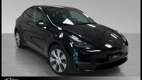 TESLA Model Y AWD LR /Skinn/Autopilot/ACC/Premium/Vinter/Kam/2x19"