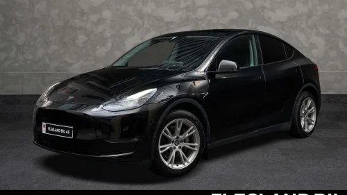 TESLA Model Y LONG RANGE AWD/AP/SKINN/H.FESTE/KAMERA/PREMIUM/PANO/S+V