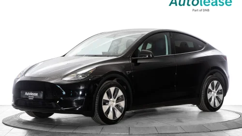 TESLA Model Y Long Range AWD, Navi ACC Premium lyd WLTP 542 km +,