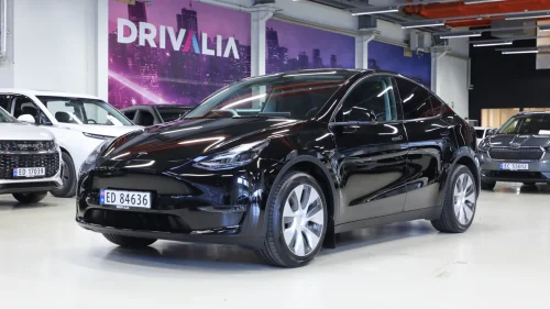 TESLA Model Y Long Range AWD Autopilot/Skinn/Led