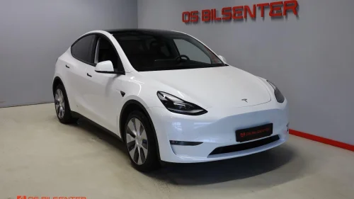 TESLA Model Y Long Range Dual Motor 1 Eier LED,AutoPilot,360Kamera++