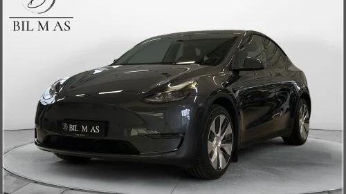 TESLA Model Y Long Range AWD H.Feste Panorama Autopilot