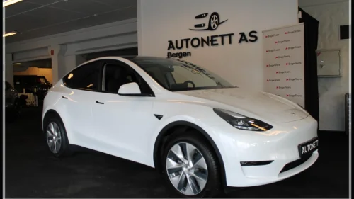 TESLA Model Y LONG RANGE AWD/4WD,SKINN,PANO,H-FESTE,53.000KM!