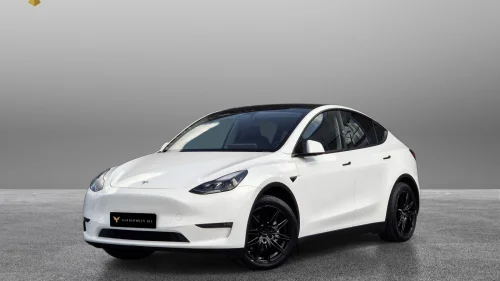 TESLA Model Y Long Range/Dual Motor/Autopilot/Krok/Premium/En eier+++