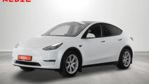 TESLA Model Y 533Km/LR AWD/AP/V.Pumpe/R.Kam/Skinn/Ryzen/Pano/S+V