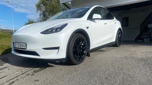 TESLA Model Y RWD