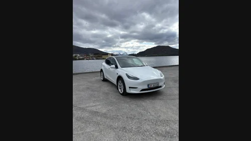 TESLA Model Y Standard Range RWD