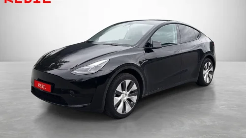 TESLA Model Y Standard Range/Panorama/Ryggekamera/Navi/BT/AP/R.Kam