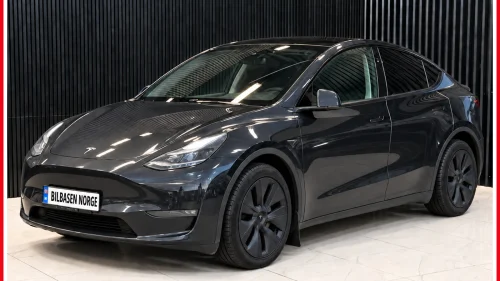 TESLA Model Y LONG RANGE/1-EIER/AWD/SKINN/H.FESTE/360*kamera/ACC