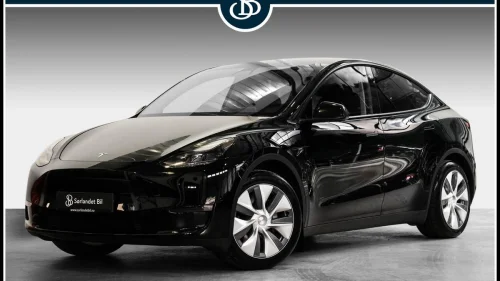 TESLA Model Y LONG RANGE AWD / AP / SKINN / PREMIUM / KROK