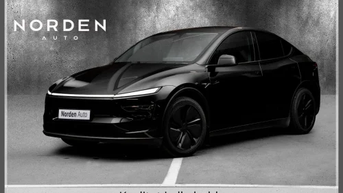 TESLA Model Y LONG RANGE AWD/JUNIPER/H.FESTE/SKINN/ACC