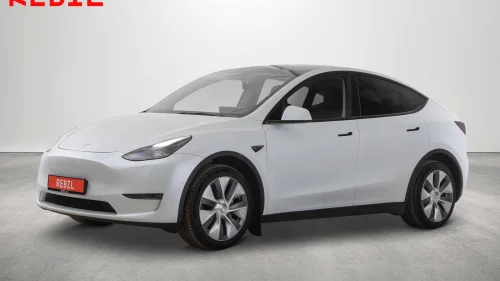 TESLA Model Y 533km (WLTP)\LR\AWD\MCU3\Autopilot\Navi\R.kamera