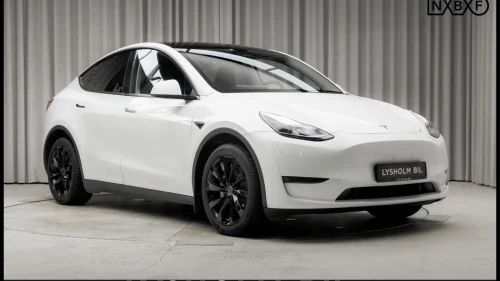 TESLA Model Y LR AWD 8 HJUL AP PREMIUM LYD SKINN PANO V.PUMPE