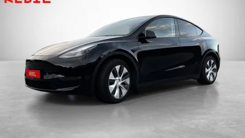 TESLA Model Y Long Range AWD/R.Kam/Krok/Pano/AP/Navi/Memory/V.Pumpe