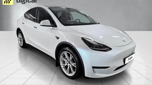 TESLA Model Y Long Range Dual Drive / Autopilot