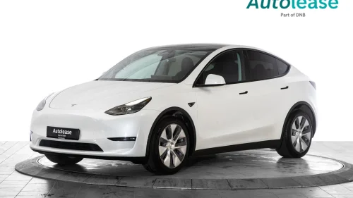TESLA Model Y Long Range AWD, Krok Navi ACC +++,