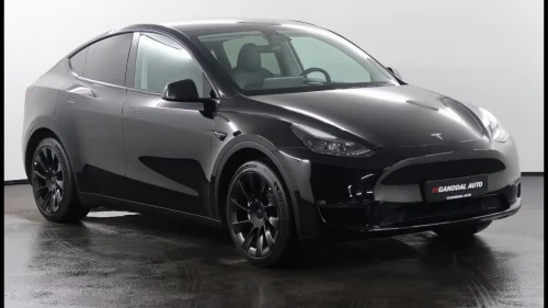 TESLA Model Y LONGE RANGE AWD 20" / KAMERA / SKINN / ACC / PANO +++