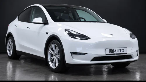 TESLA Model Y LONG RANGE AWD/1EIER/PANO/SKINN/AP/KROK/PREMIUM/S+V