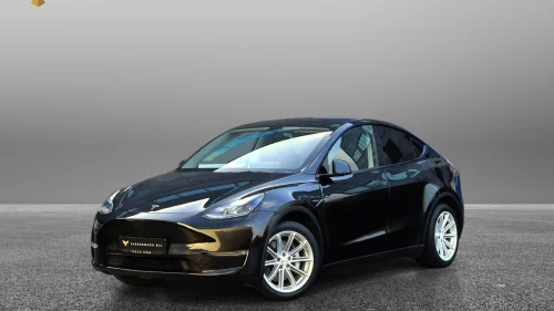 TESLA Model Y Long Range/Dual Motor/Autopilot/Krok/Varmepumpe/Berlin