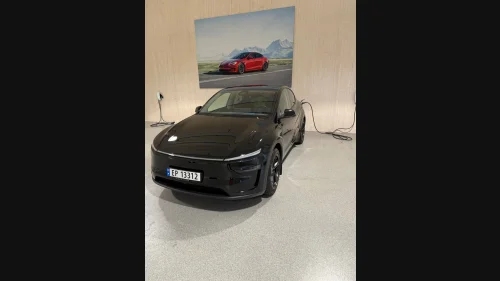 TESLA Model Y Long Range AWD, Black Diamond Juniper