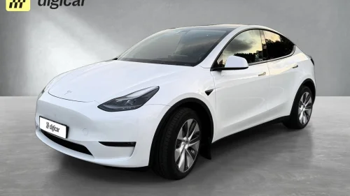 TESLA Model Y Long Rane AWD /Autopilot/Premium Connect./ 19" Gemini