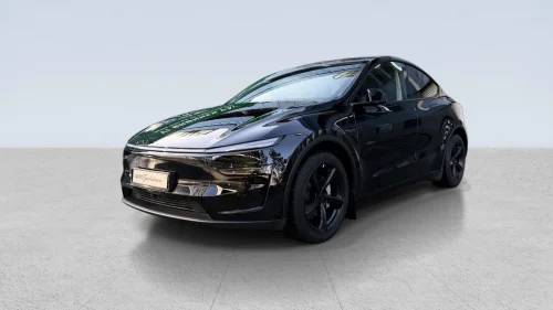 TESLA Model Y Long Range AWD, Juniper, Premium, Pano, Krok, 19"+19"