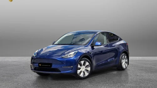 TESLA Model Y Long Range/Dual Motor/Autopilot/Premium/Krok/Berlin++
