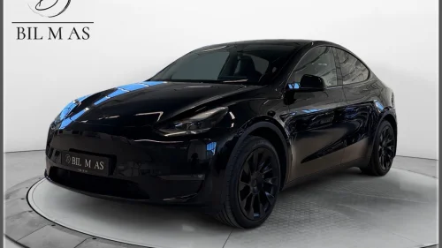 TESLA Model Y Long Range AWD H.Feste Panorama Autopilot
