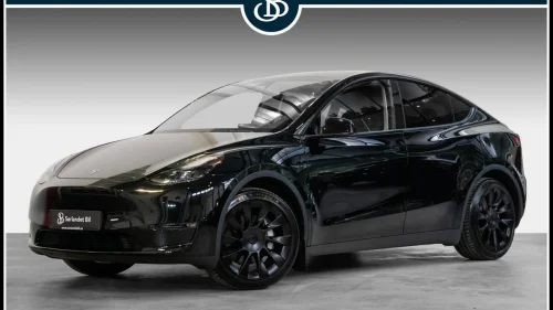 TESLA Model Y LONG RANGE AWD / AP / SKINN / PREMIUM / KROK / 20"