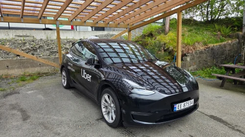 TESLA Model Y Long Range AWD KROK PREMIUM SKINN 1 EIER