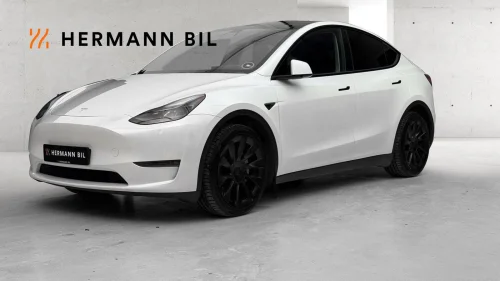 TESLA Model Y Long Range/Hengerfeste/Norsk/Skinn/Krok