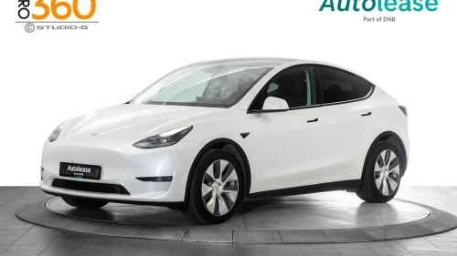 TESLA Model Y Long Range, Autopilot Navi Kamera Skinn +++,