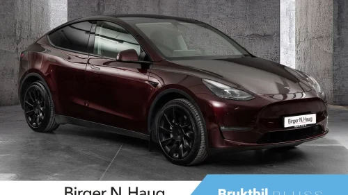 TESLA Model Y Long Range AWD AP/KROK/SKINN/HIFI/20"+19"